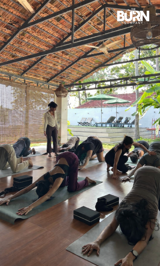 Untitled design (31)