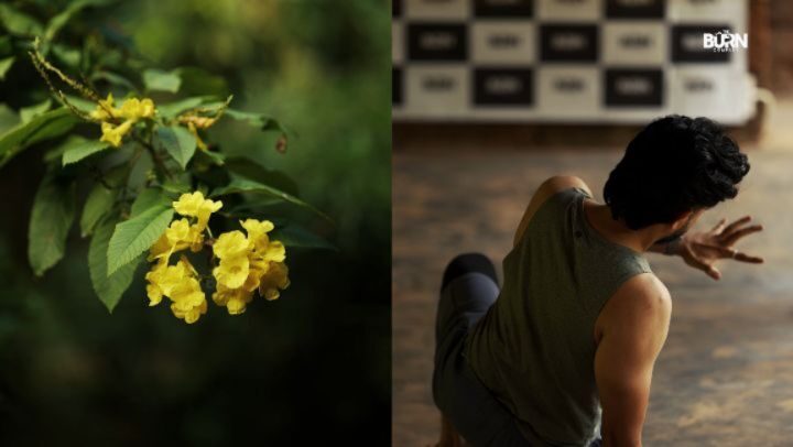 Instagram post from the.burn.company. This post is in position 1.