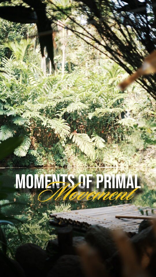 Instagram post from the.burn.company. This post is in position 2.