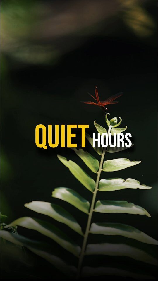 Instagram post from the.burn.company. This post is in position 1.